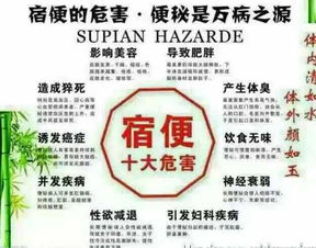 解析隨便果產(chǎn)業(yè)鏈 從深圳工廠(chǎng)到代理模式的全景透視